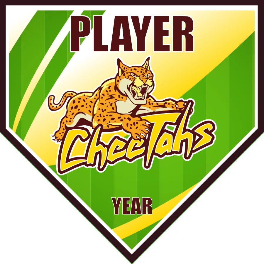 Cheetahs-green-yellow-home-softball-banners-ideas-picture