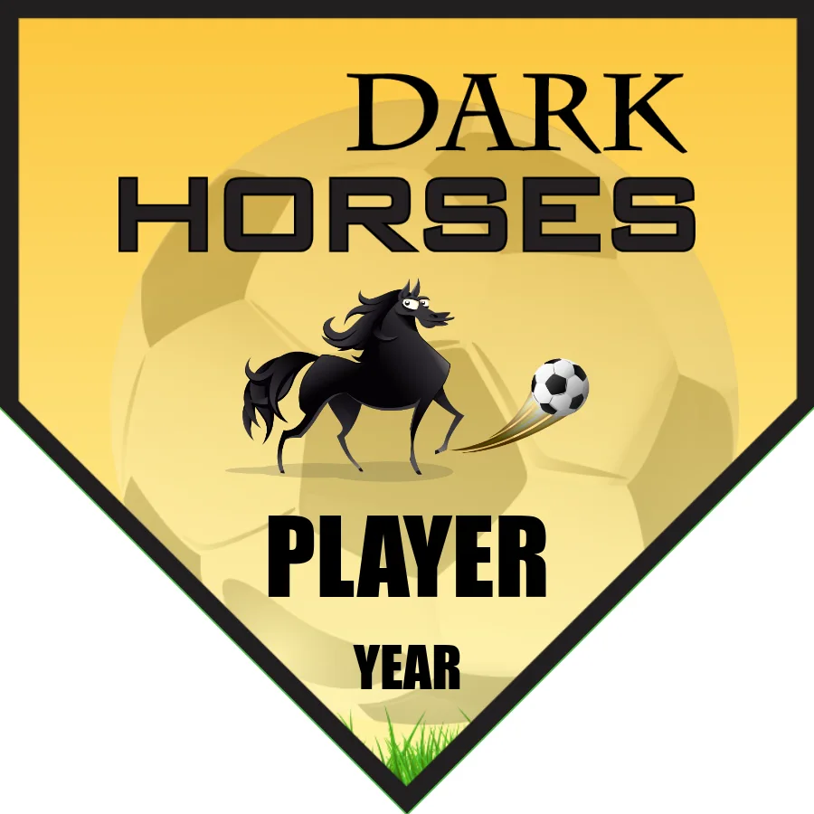 Dark Horses 1 Soccer Banner-soccer-birthday-party-banner-picture