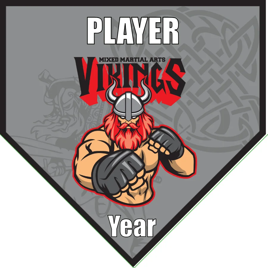 Vikings 1 Soccer Banner -youth-soccer-banners-picture