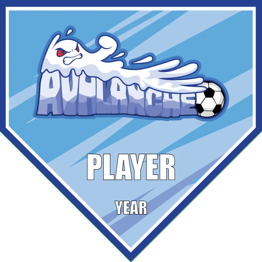Avalanche 1 Soccer Banner-soccer-banners-near-me-picture