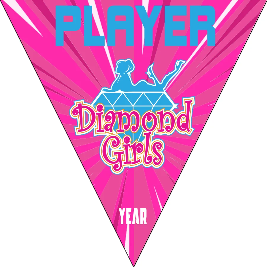 Diamond Girls 2 Softball Banner-fastpitch-softball-team-banner-images