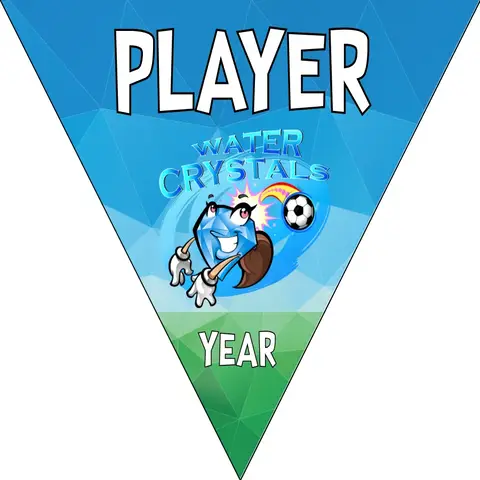 Crystals Water Soccer Banner-soccer-banner-dragons-picture