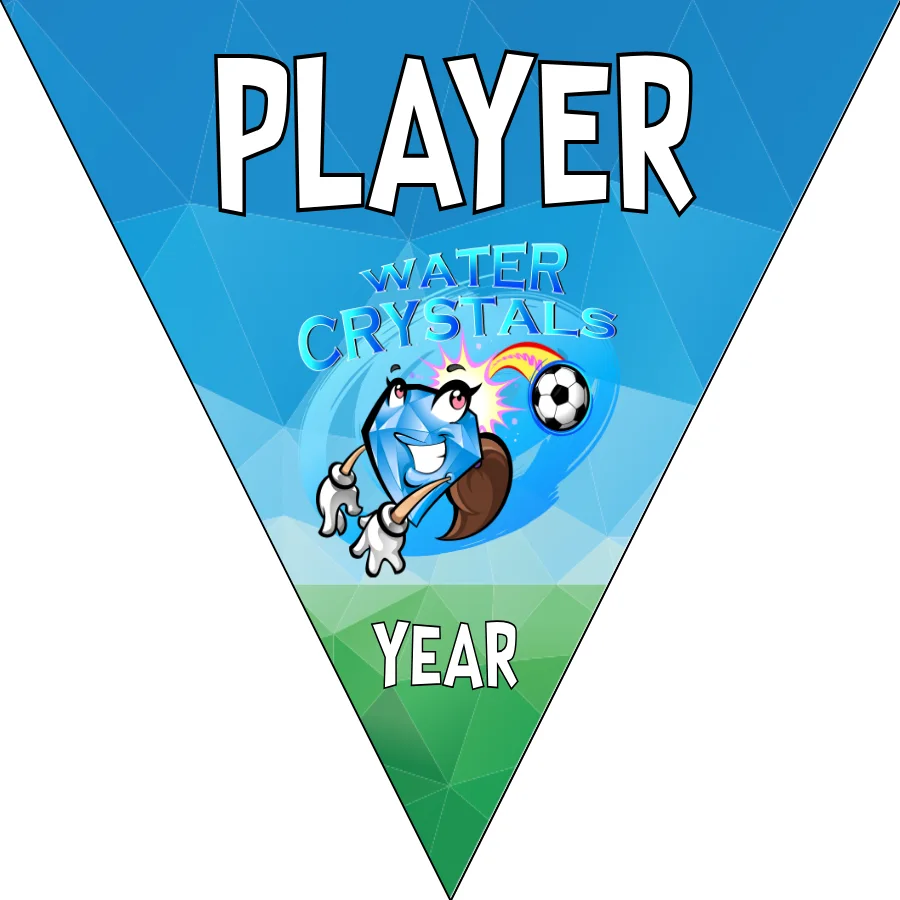 Crystals Water Soccer Banner-soccer-banner-dragons-picture