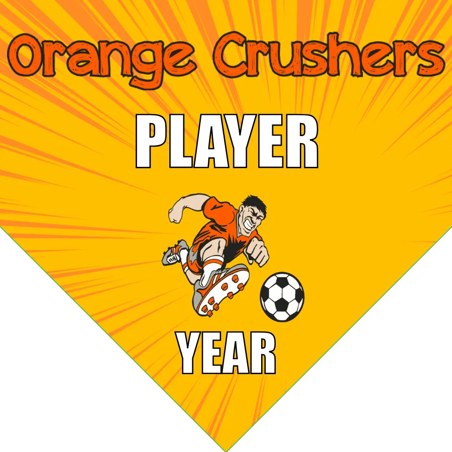 Orange Crushers Soccer Banner-soccer-team-banner-ideas-picture
