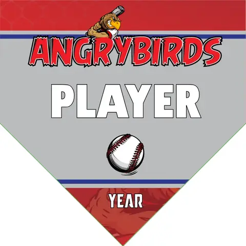 Angrybirds 2 Baseball Banner-baseball-banners-online-images