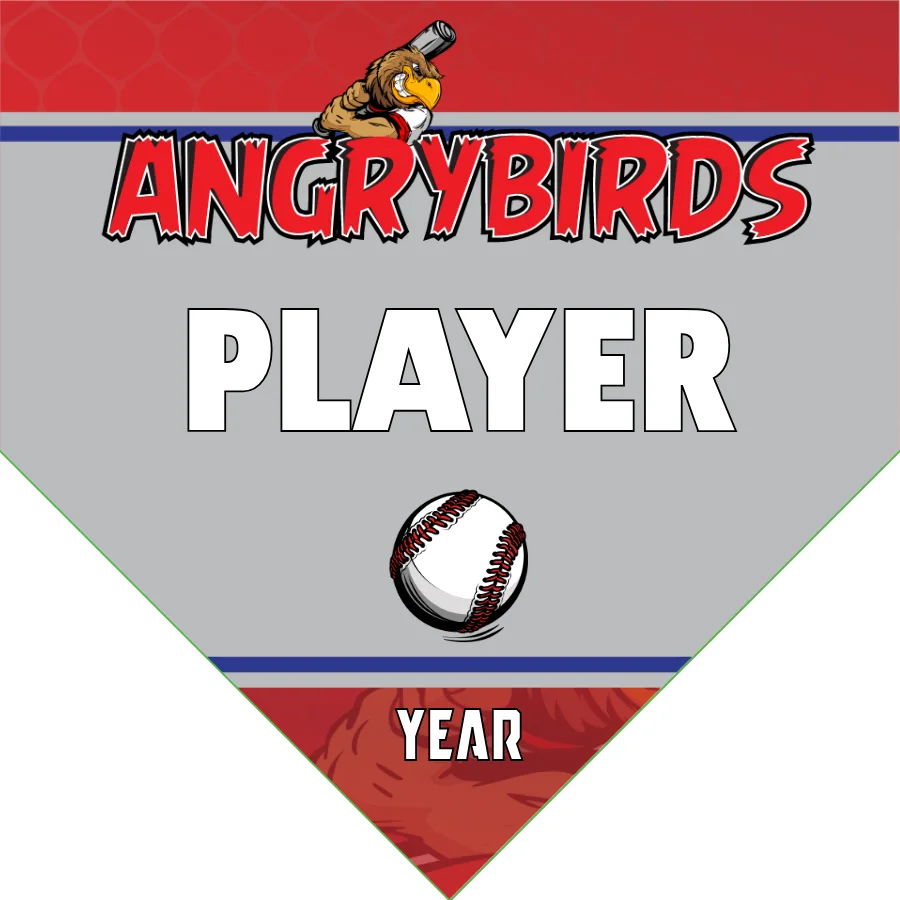 Angrybirds 2 Baseball Banner-baseball-banners-online-images