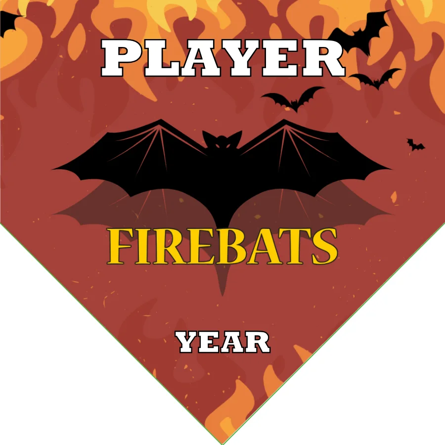 Fire Bat Soccer Banner-bulldogs-soccer-banners-picture