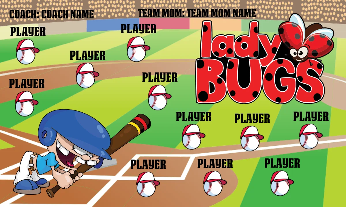 LADYbugs 2 Softball Banner-softball-banner-design-ideas-images