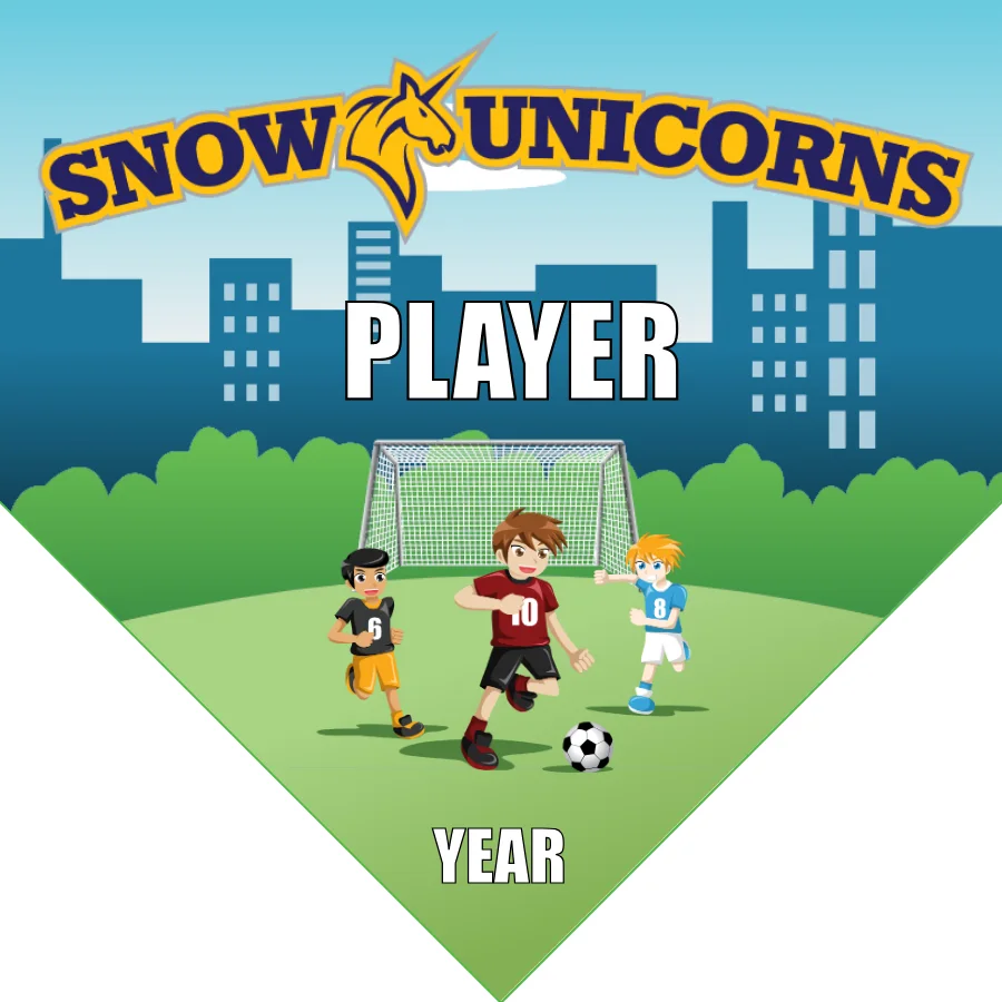 SnowUnicorn Soccer Banner-soccer-banner-stand-picture