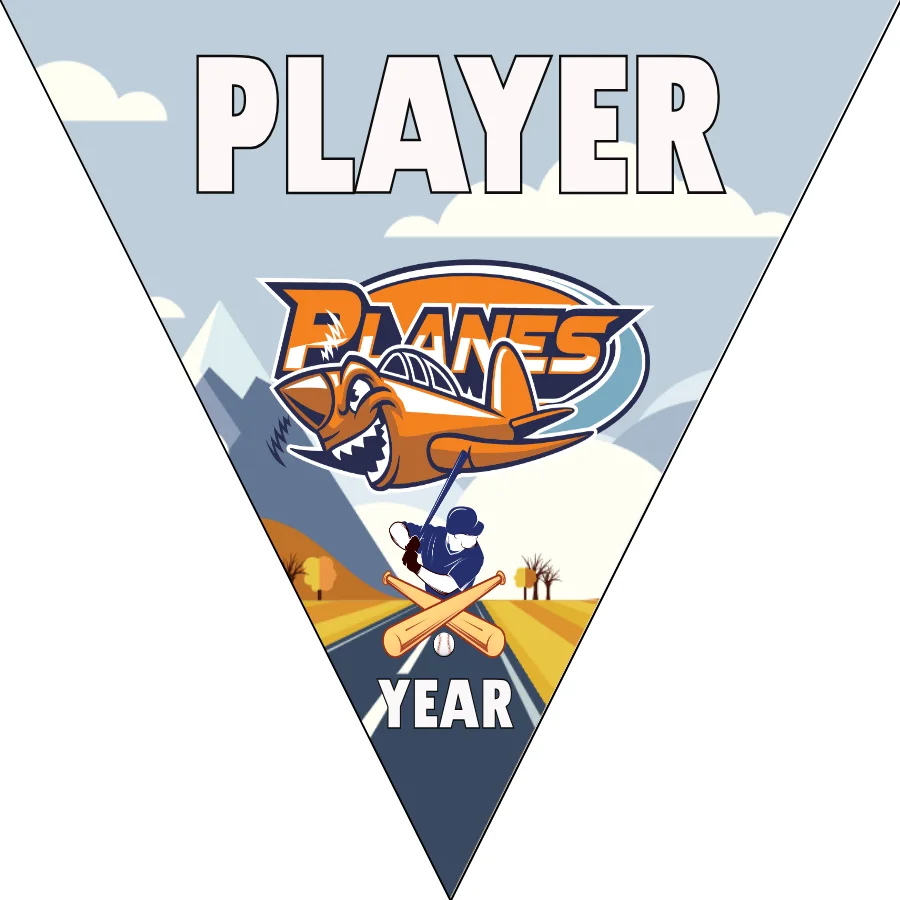 Planes Softball Banner-diy-softball-banner-picture