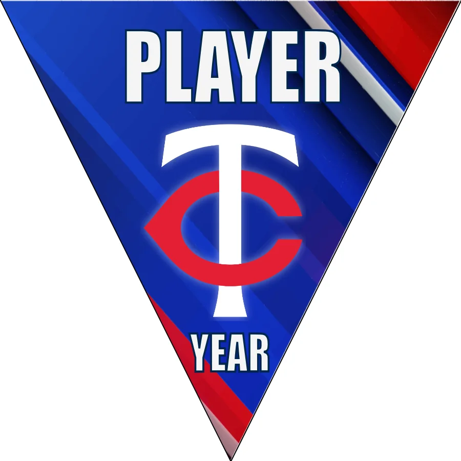 Minnesota Twins Baseball Banner