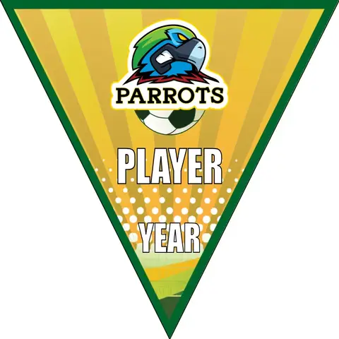 Parrots Soccer Banner-soccer-banners-sacramento-picture