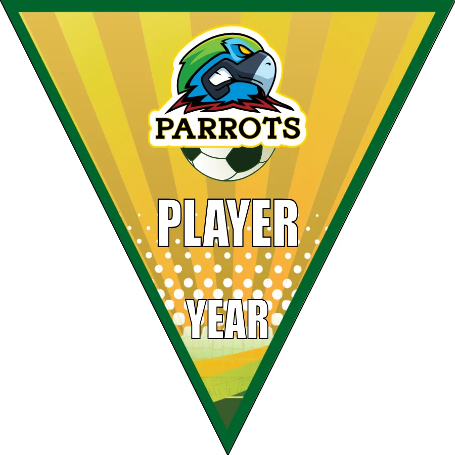 Parrots Soccer Banner-soccer-banners-sacramento-picture