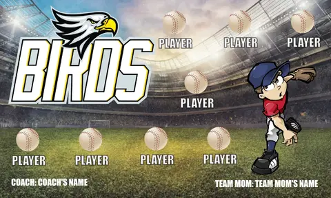 Birds 4 Softball Banner