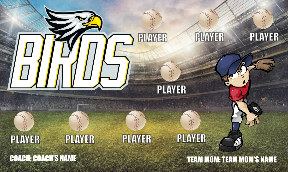 Birds 4 Softball Banner