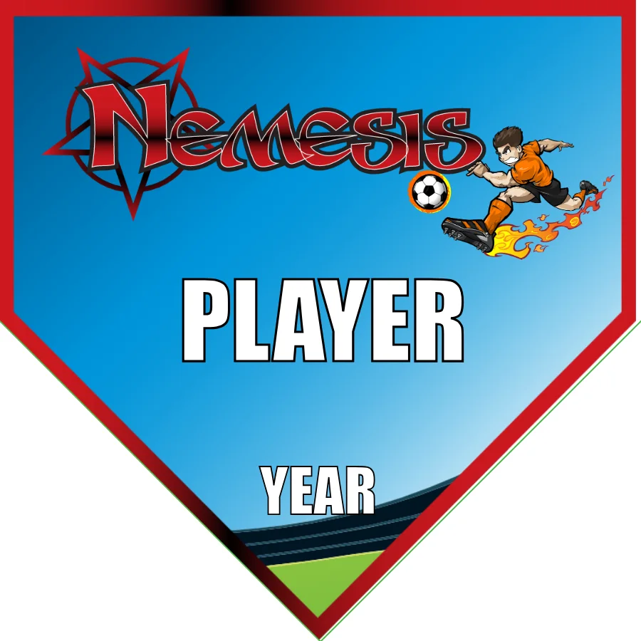 Nemesis  Soccer Banner-soccer-team-banner-picture