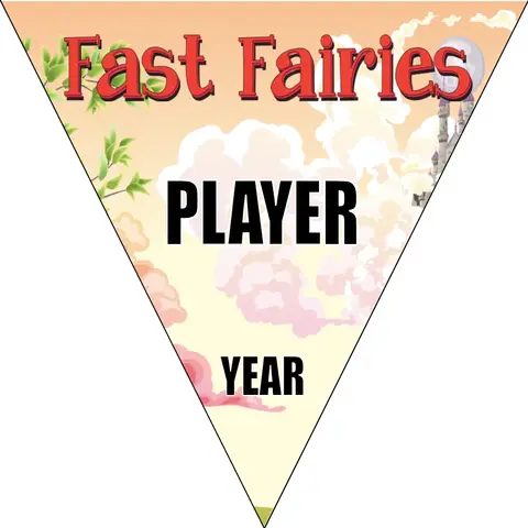 Fairies Fast Soccer Banner-soccer-team-banner-ideas-picture
