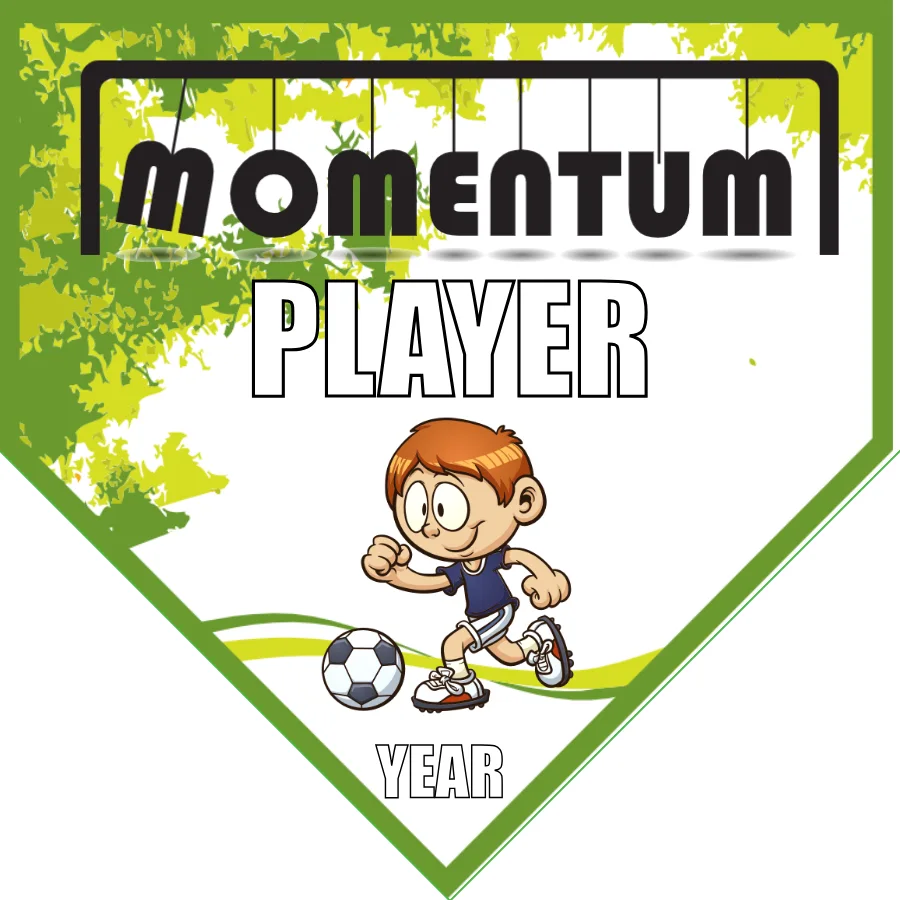 Momentum Soccer Banner-soccer-team-banners-picture