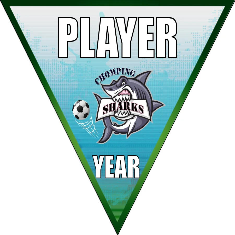 Chomping Sharks Soccer Banner-soccer-six-banner-competition-picture