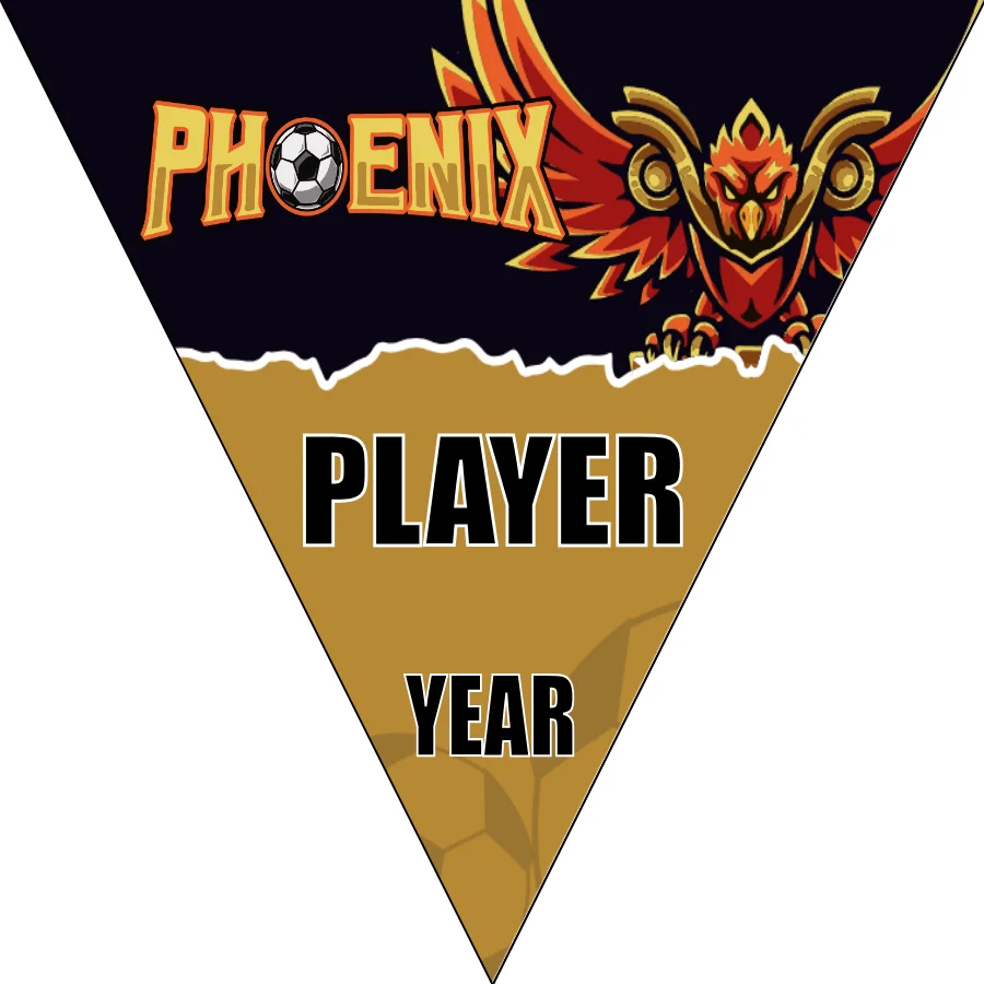 Phoenix Soccer Banner-soccer-banner-stand-pvc-picture