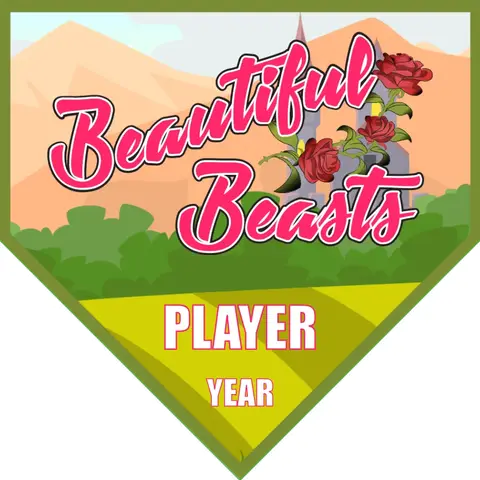 Beautiful Beasts 1 Soccer Banner-soccer-banners-santa-ana-ca-picture