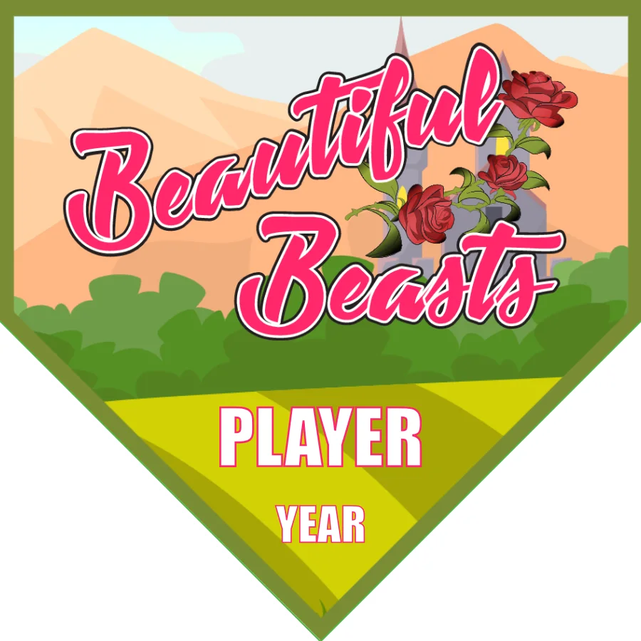 Beautiful Beasts 1 Soccer Banner-soccer-banners-santa-ana-ca-picture