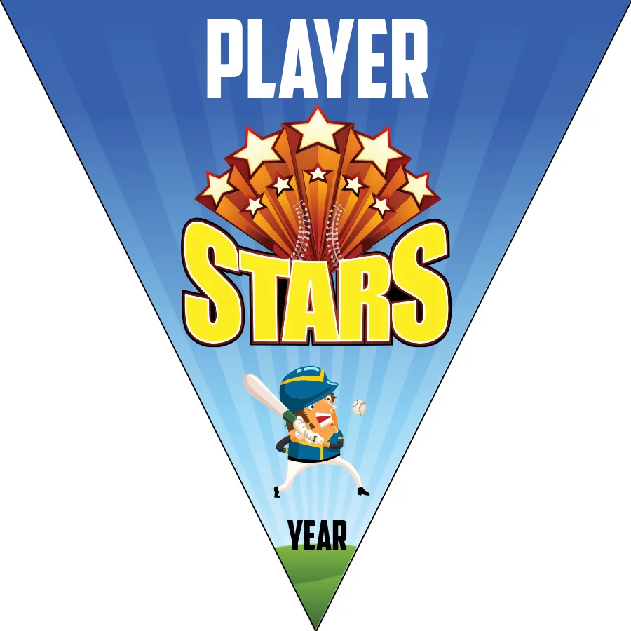 Star Softball Banner-custom-softball-team-banners-picture