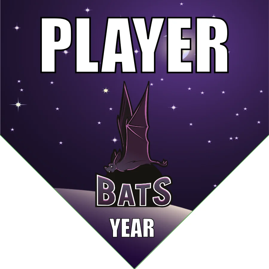 Bats Softball Banner-softball-all-star-banners-images