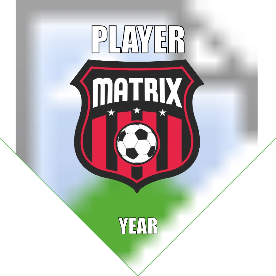Matrix Soccer Banner-soccer-team-banner-picture