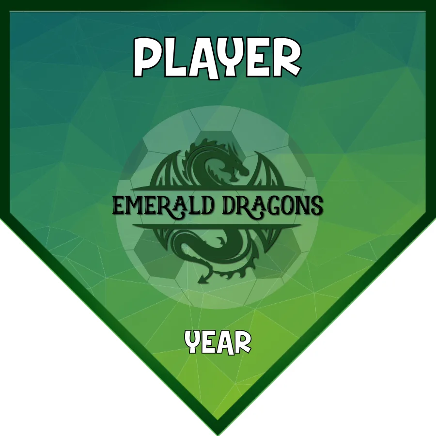 Emerald dragons Soccer Banner-soccer-banners-santa-clarita-picture