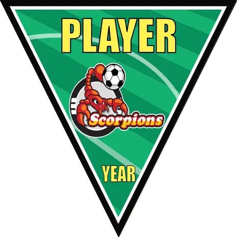 Scorpions Soccer Banner-soccer-banner-ideas-picture