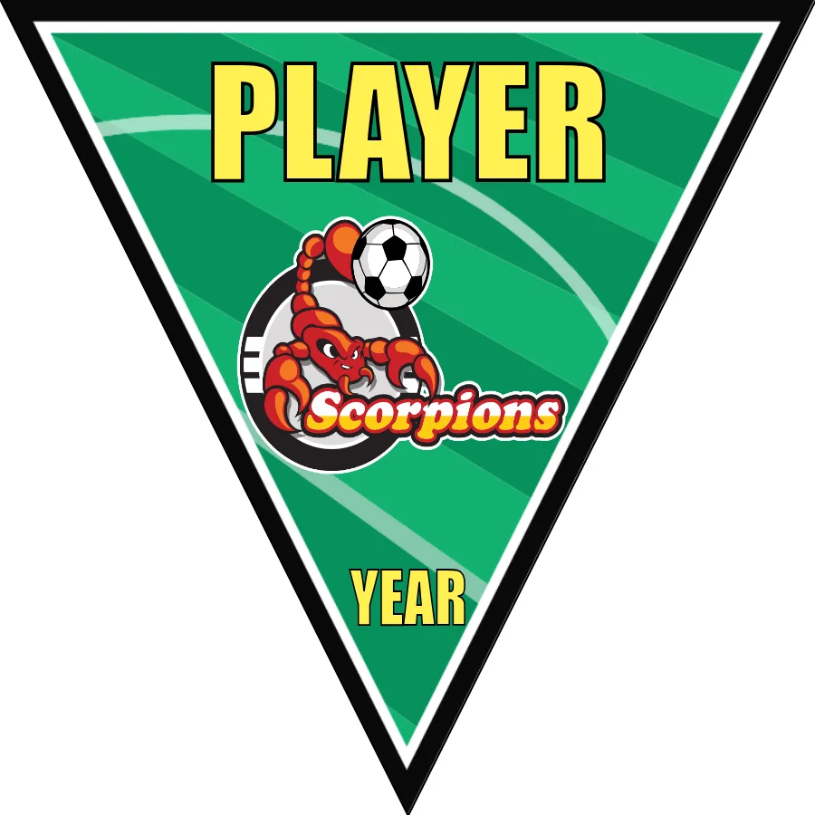 Scorpions Soccer Banner-soccer-banner-ideas-picture