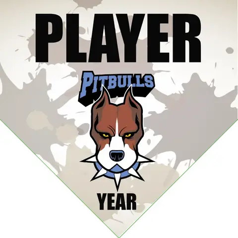 Pitbulls Softball Banner-fastpitch-softball-team-banner-images