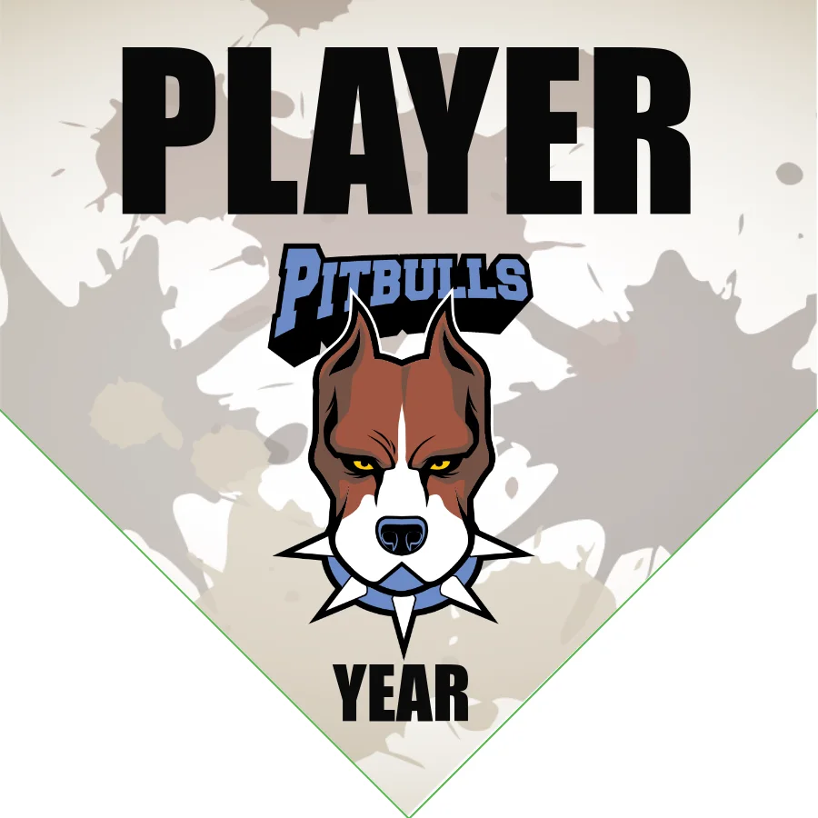 Pitbulls Softball Banner-fastpitch-softball-team-banner-images