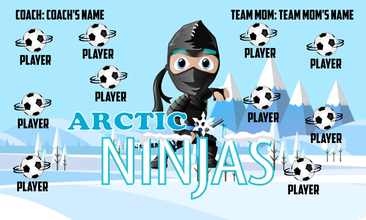Arctic Ninjas Soccer Banner-ayso-soccer-banner-stand-picture