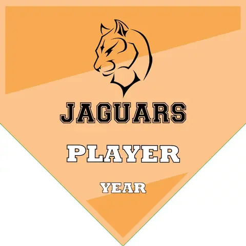JAGUARS Soccer Banner-soccer-banners-orange-county-ca-picture