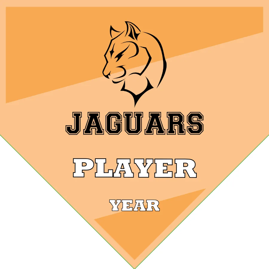 JAGUARS Soccer Banner-soccer-banners-orange-county-ca-picture