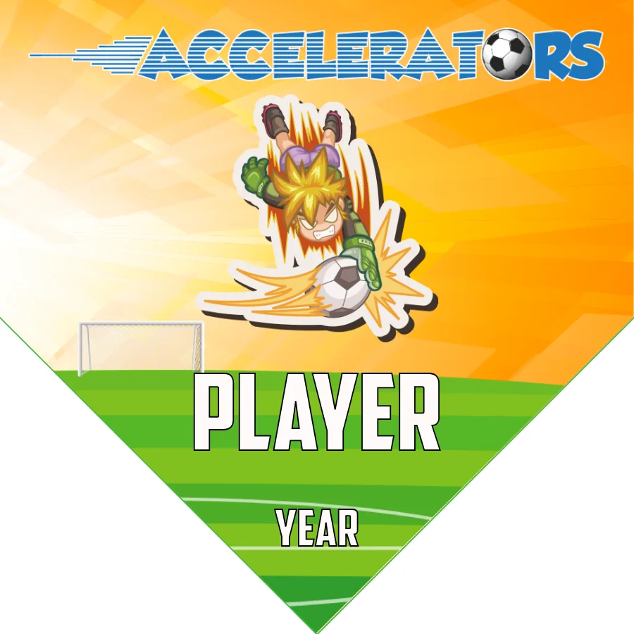 Accelerators Soccer Banner-soccer-banners-los-angeles-picture