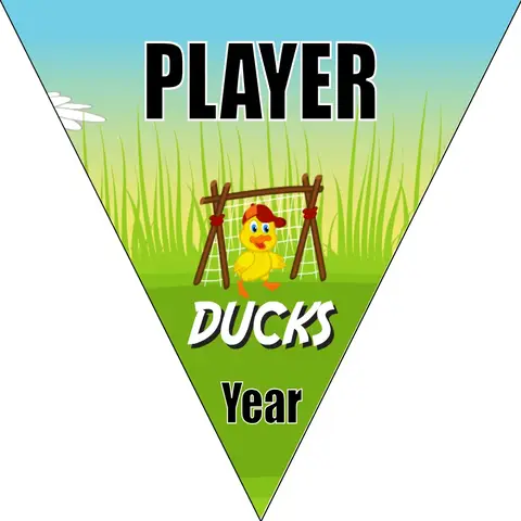 Duck 01 Soccer Banner-homemade-soccer-banner-ideas-picture