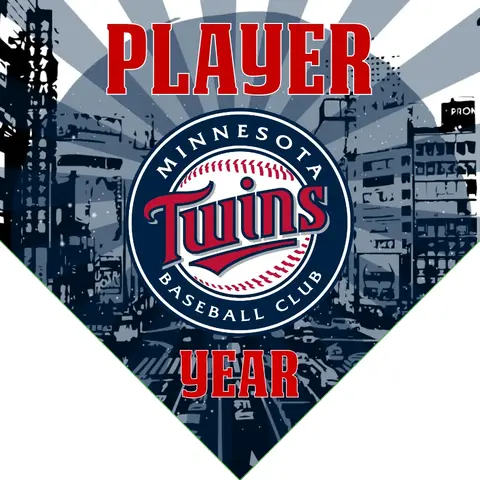 Minnesota 2 Baseball Banner-baseball-banner-size-images