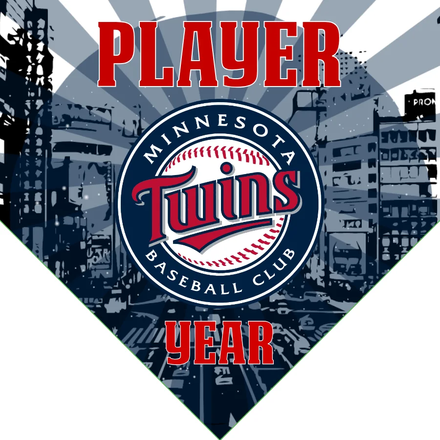 Minnesota 2 Baseball Banner-baseball-banner-size-images