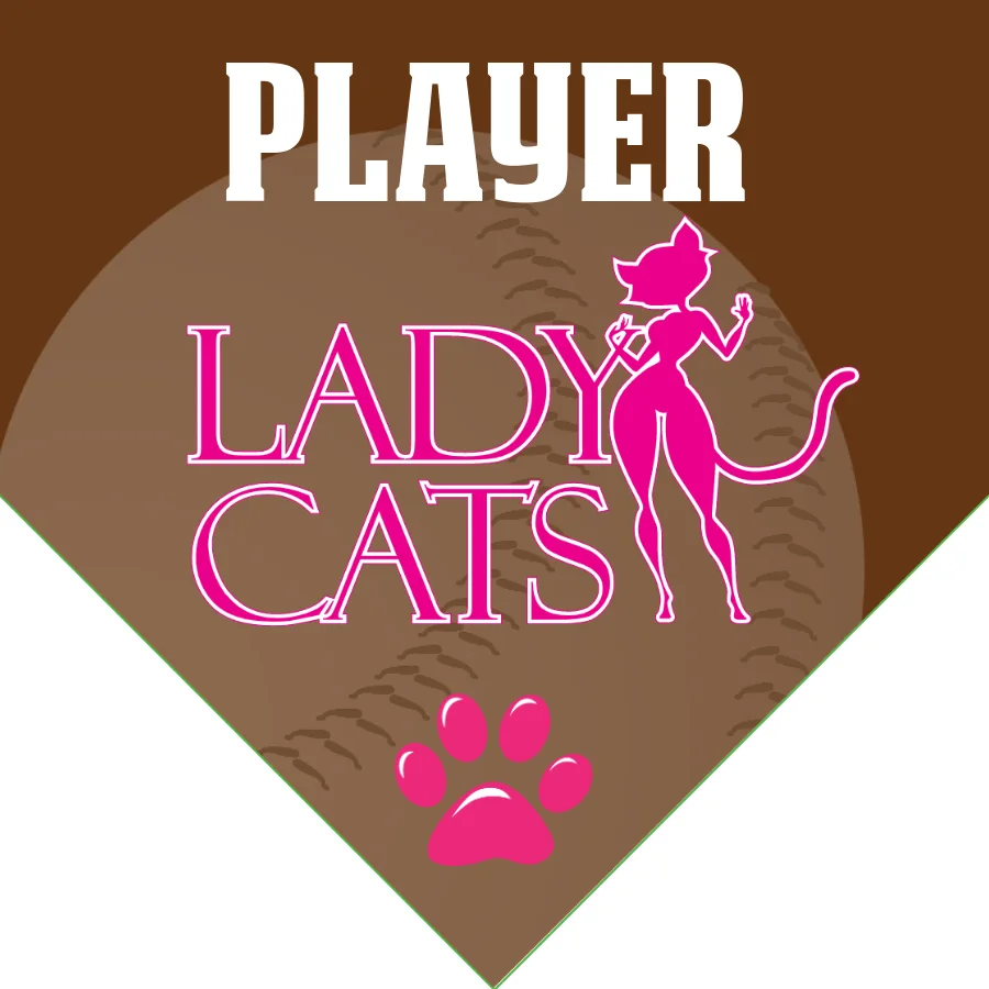 Lady Cats 1 Softball Banner-making-a-softball-banner-images