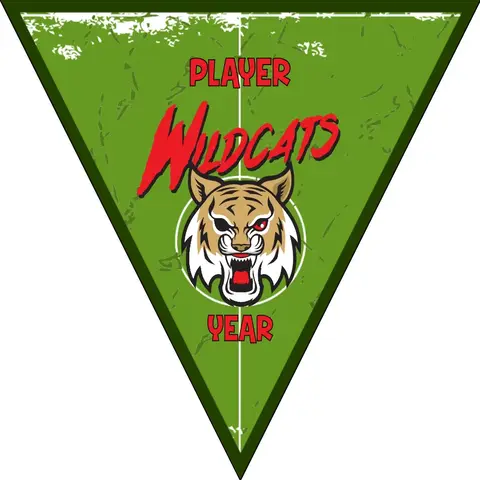 Wildcats 3 Soccer Banner,-soccer-party-banner-picture