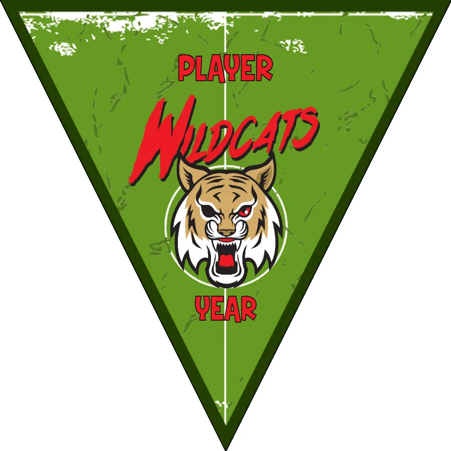 Wildcats 3 Soccer Banner,-soccer-party-banner-picture