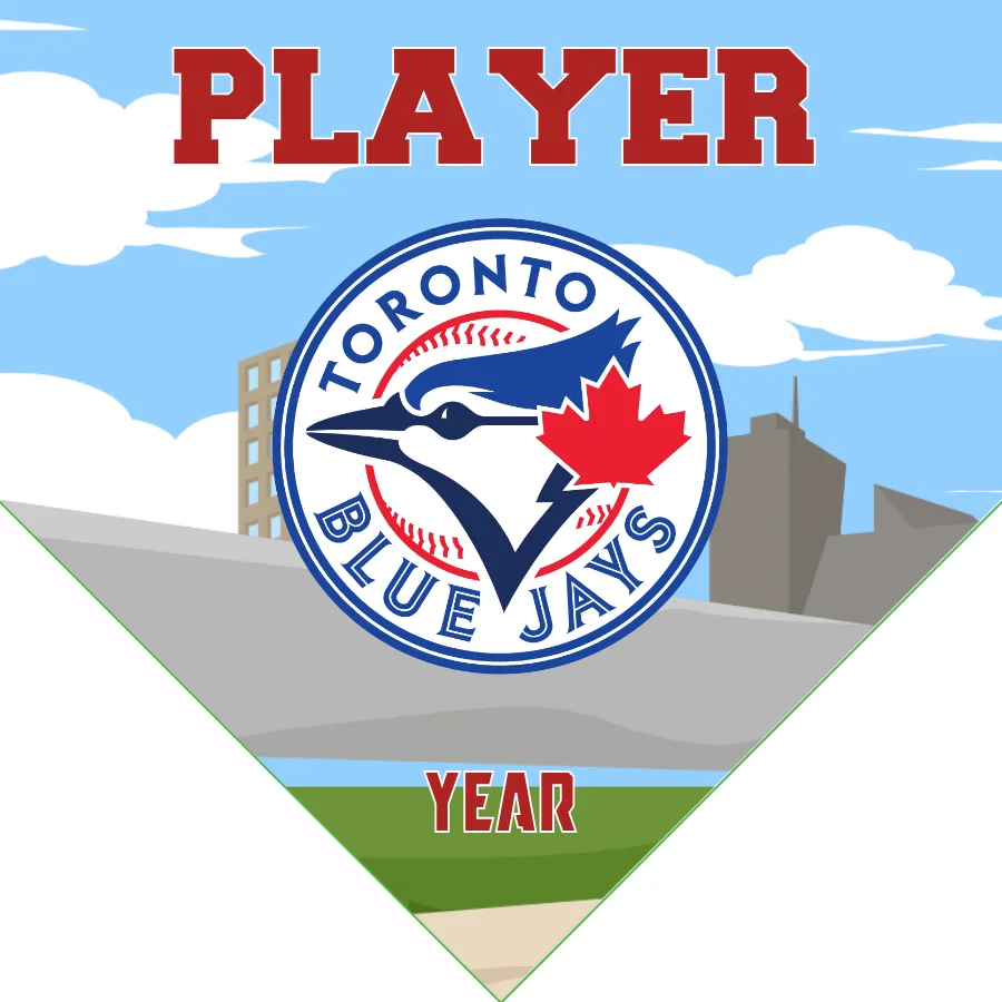 Toronto Blue Jays Baseball Banner-baseball-banners-homemade-images