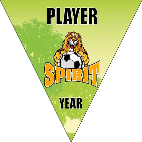 Spirits Soccer Banner-soccer-banner-printing-picture