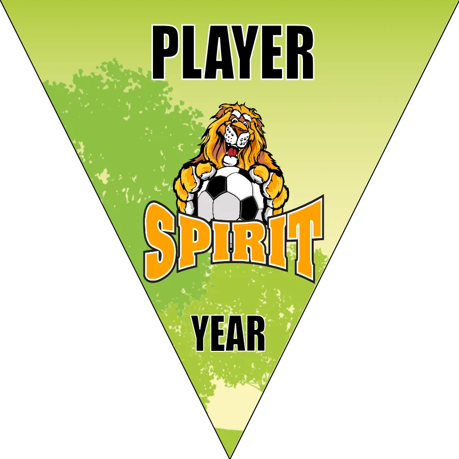 Spirits Soccer Banner-soccer-banner-printing-picture