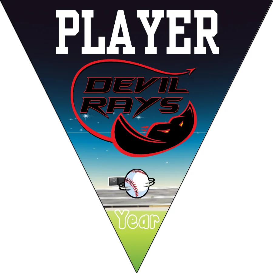 Devil Rays 2 Softball Banner-felt-softball-banners-images