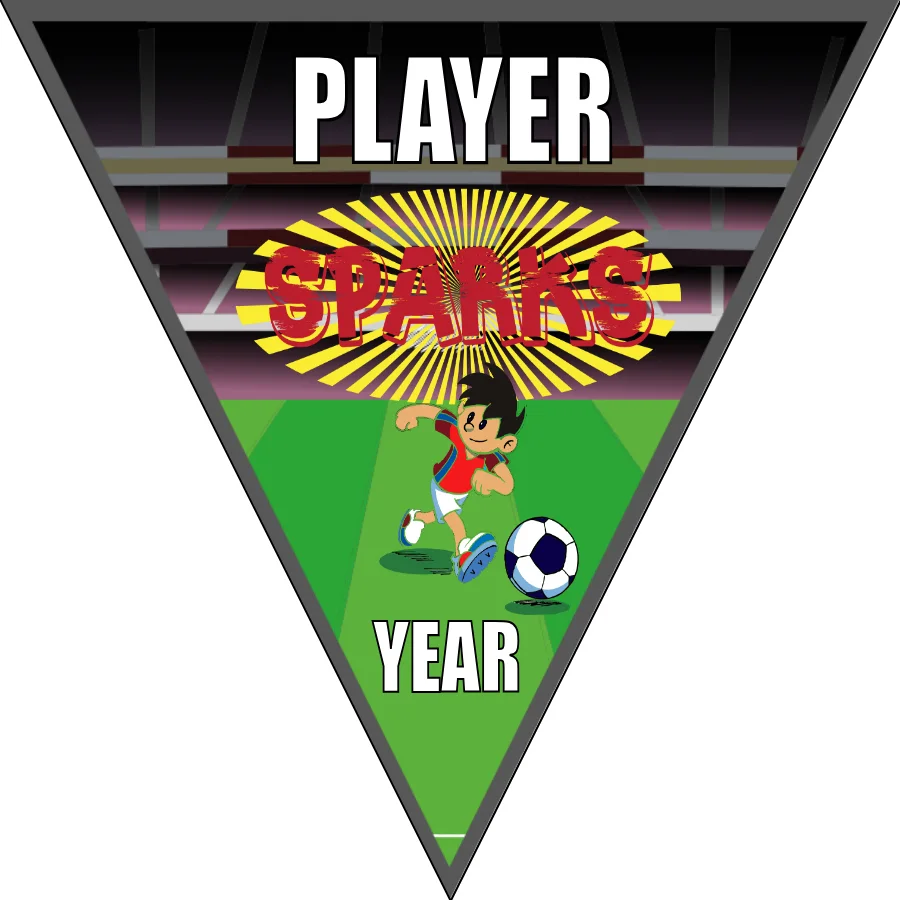 Sparks Soccer Banner-soccer-banners-for-sale-picture