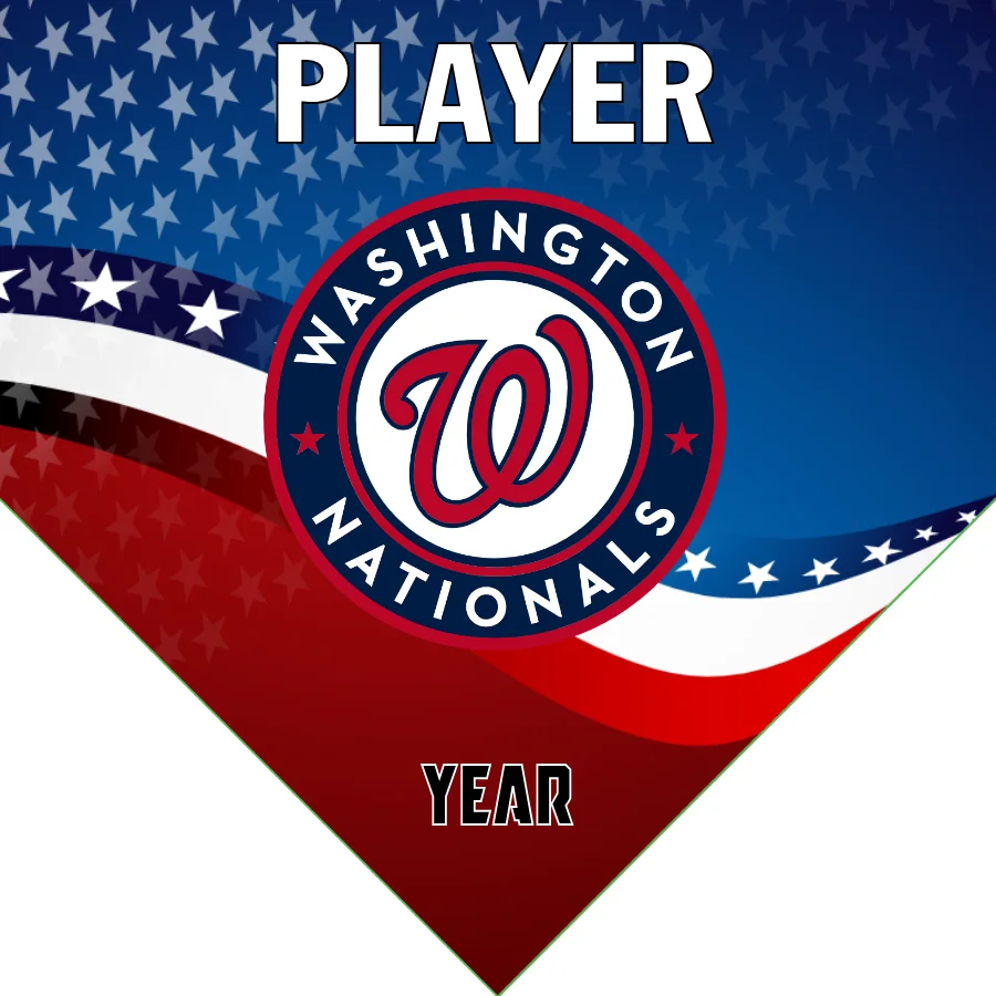 Washington Baseball Banner-baseball-banner-gallery-images